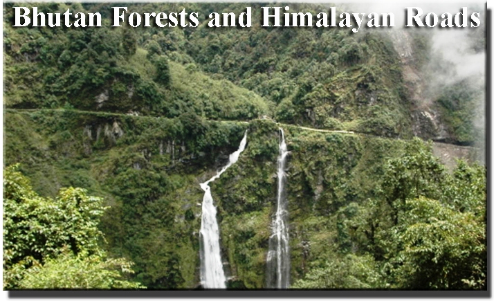 Bhutan Forests and Himalayan Roads