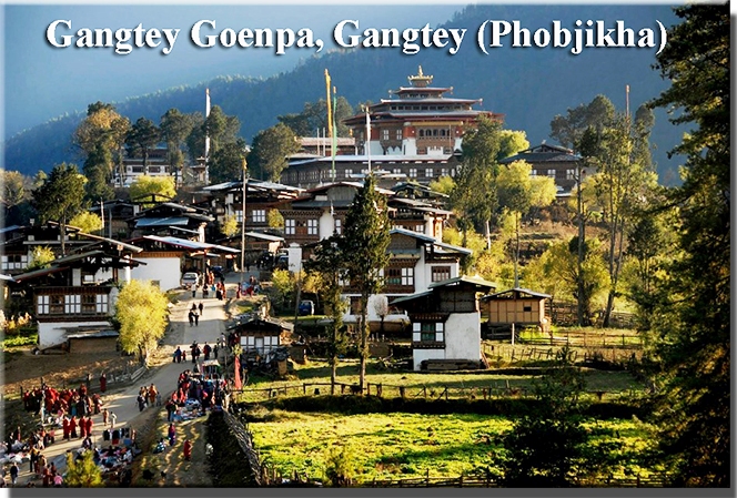 Gangtey Goenpa, Gangtey (Phobjikha)